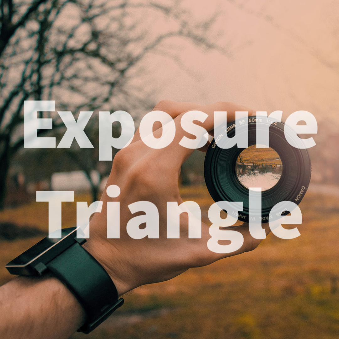 04 Getting the Perfect Shot: Exposure Triangle