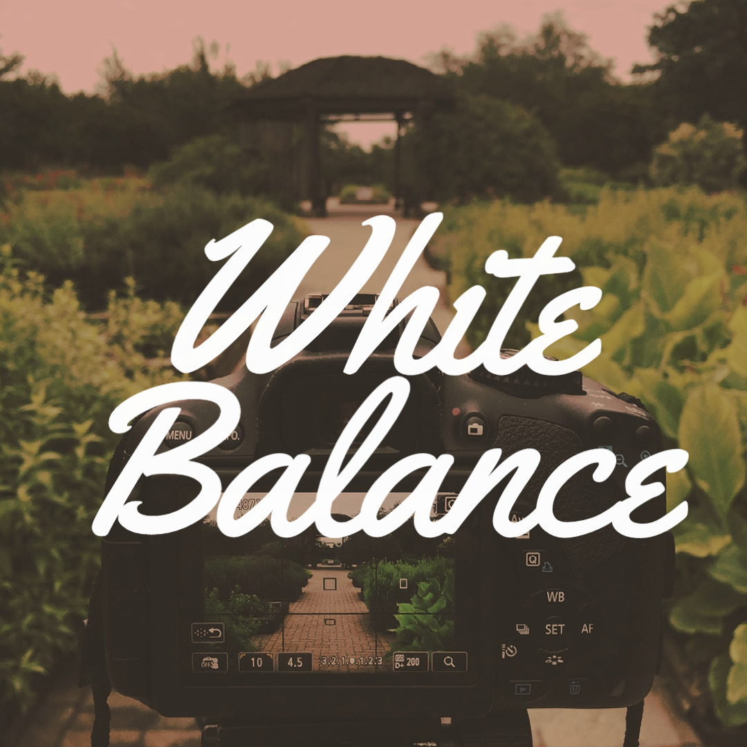11 White Balance